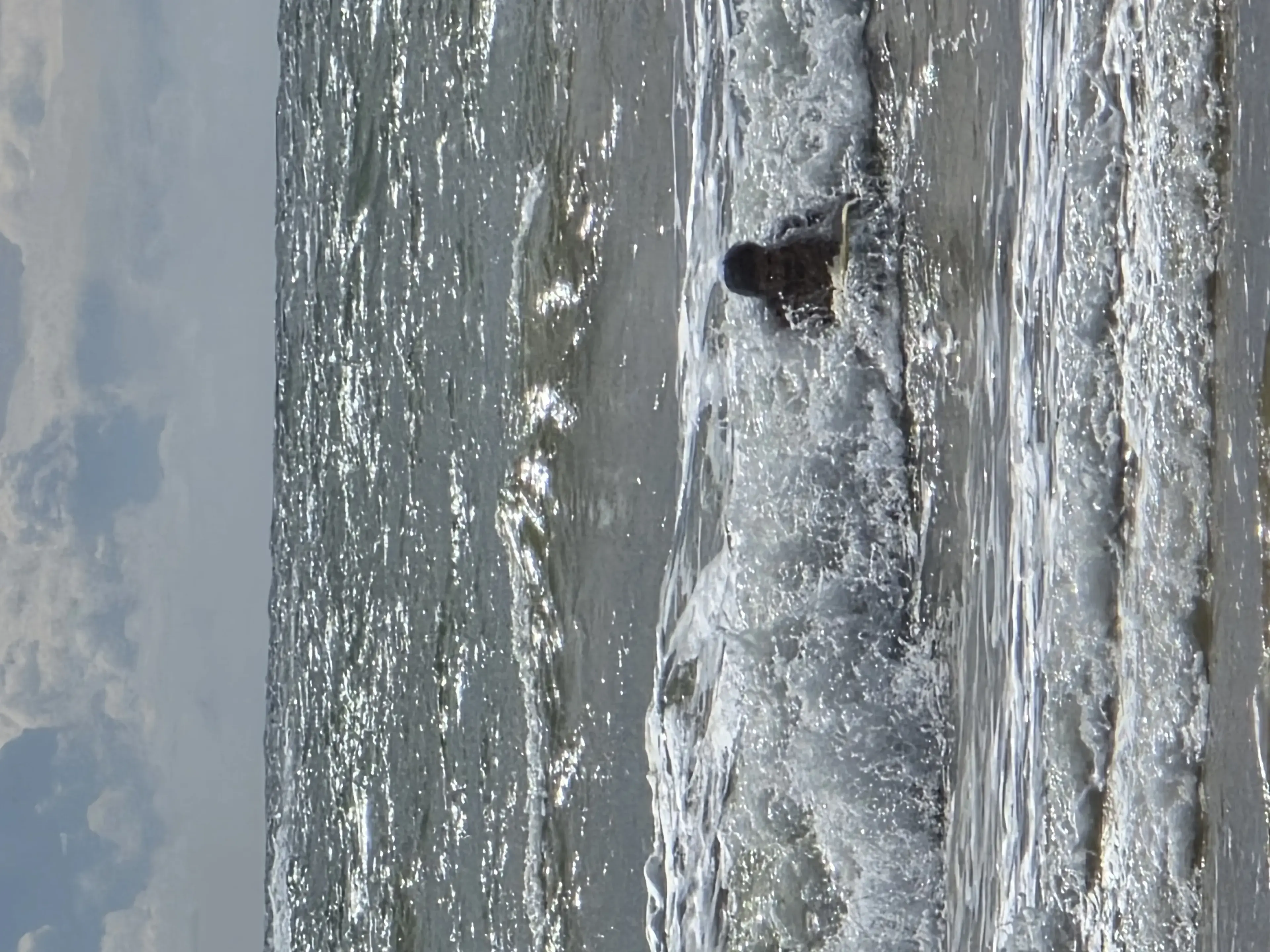 Bentota beach Photo 24