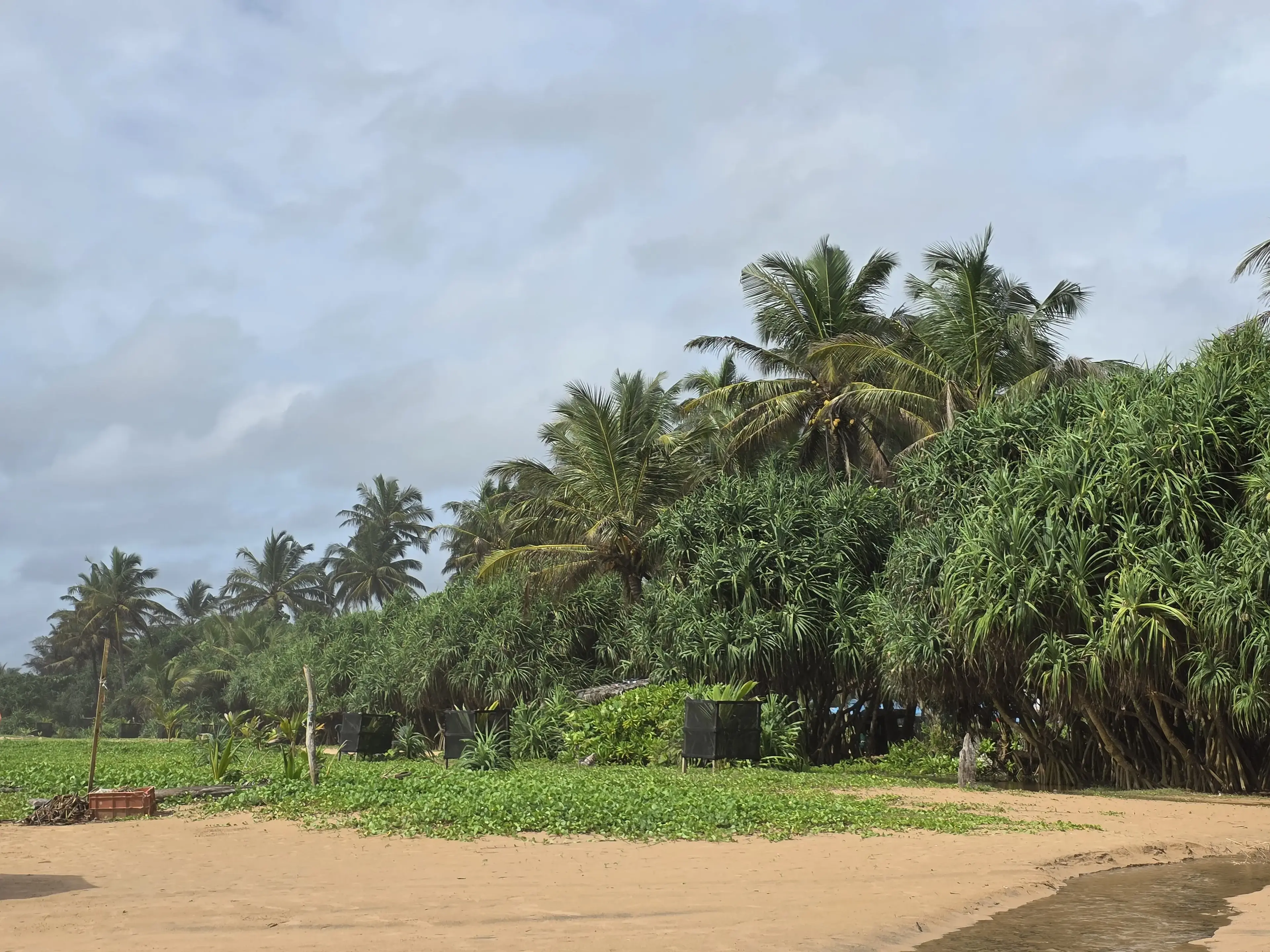 Bentota beach Photo 27