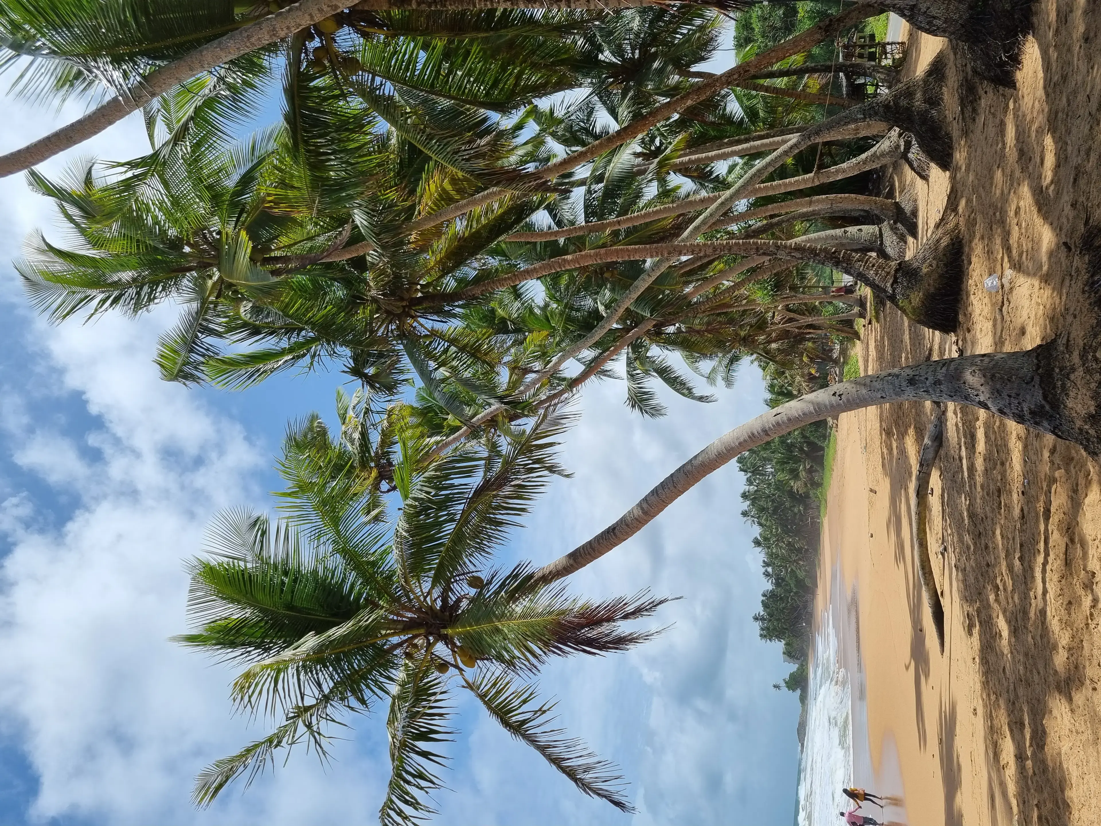 Bentota beach Photo 3