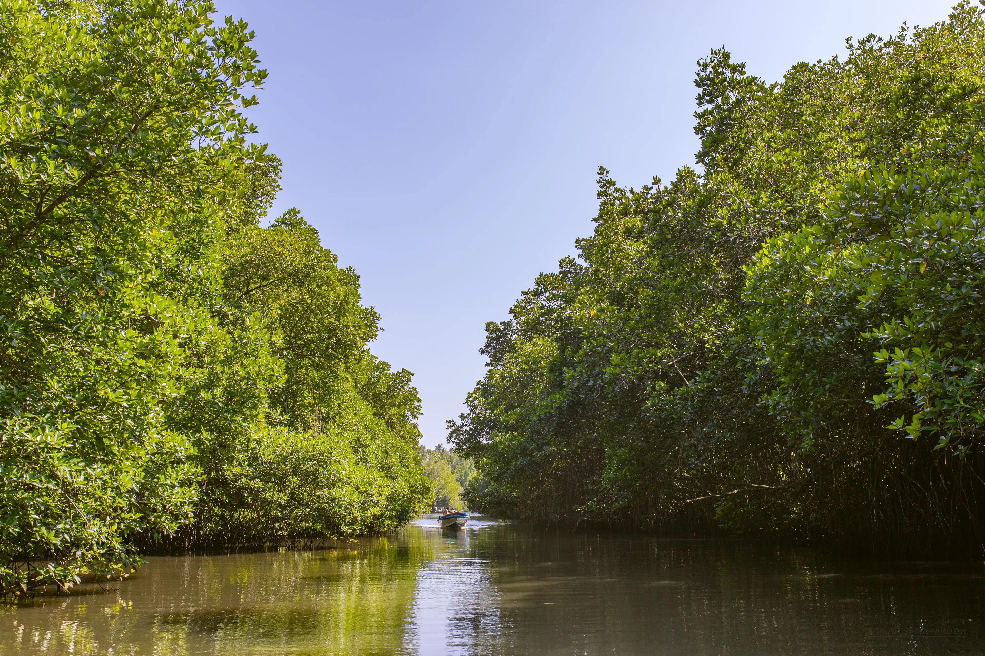 Bentota river Photo 17