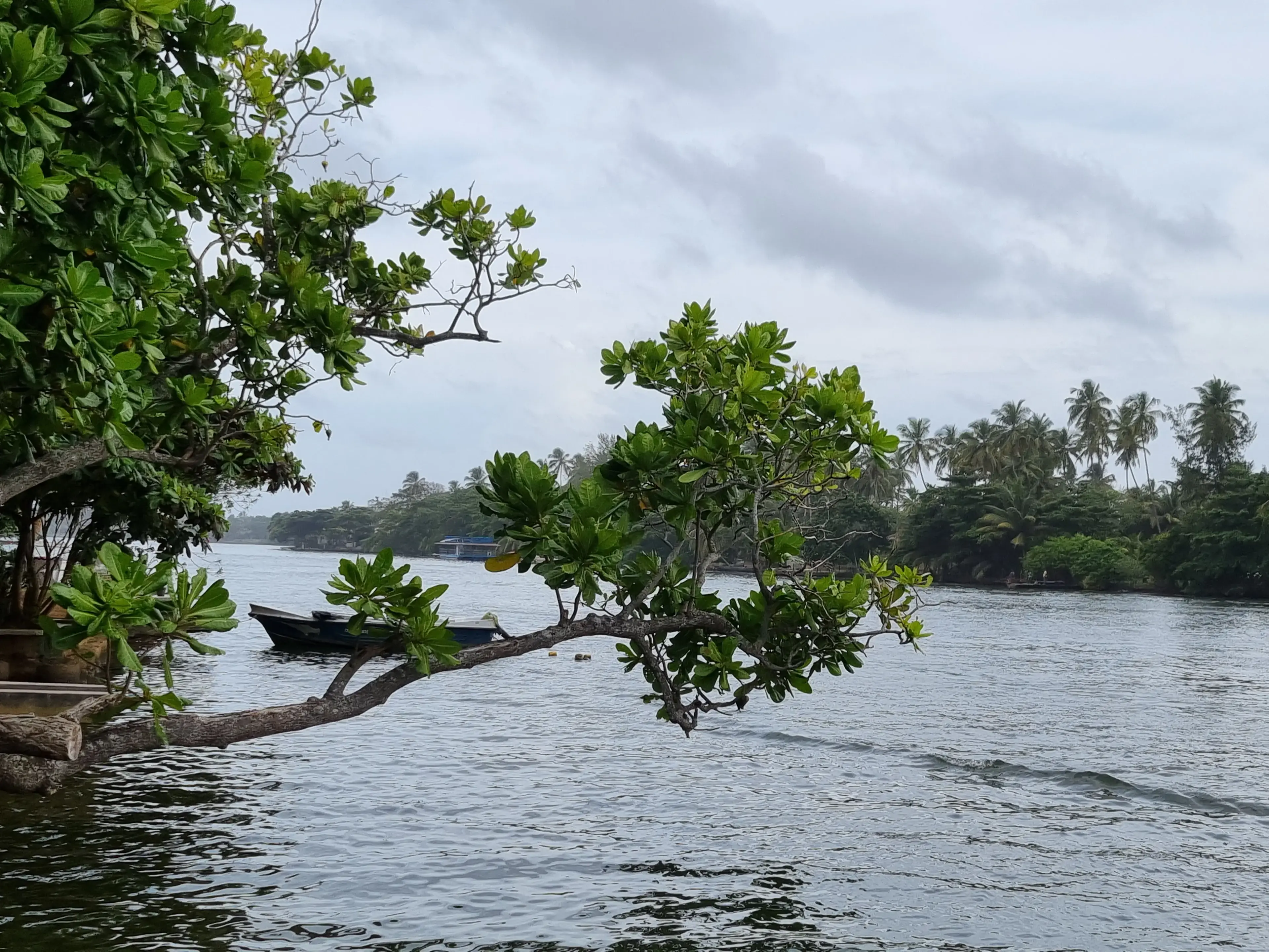 Bentota river Photo 20