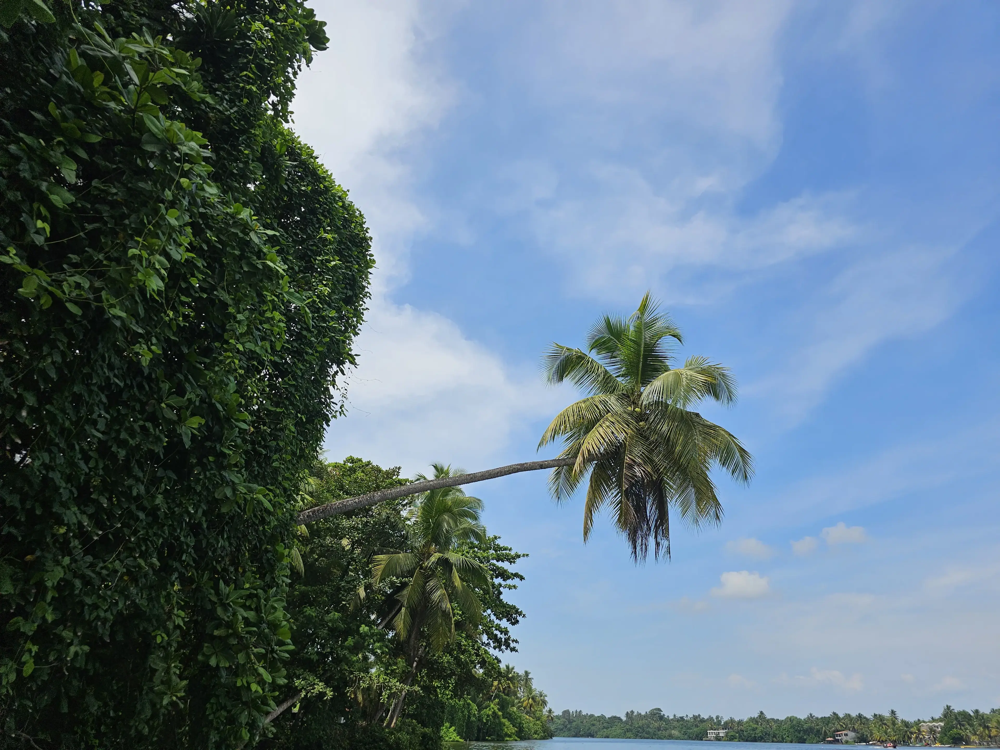 Bentota river Photo 27