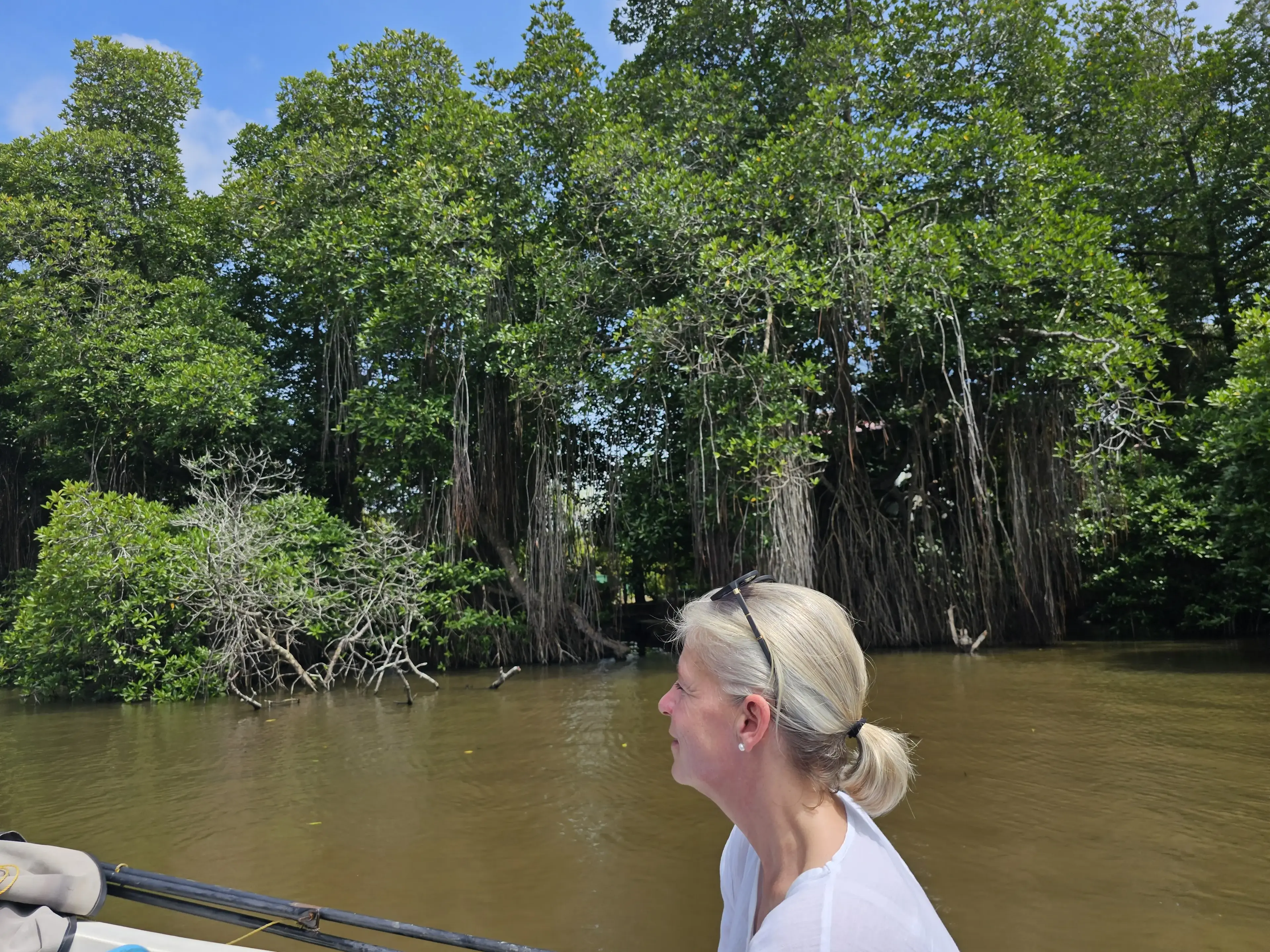 Bentota river Photo 30