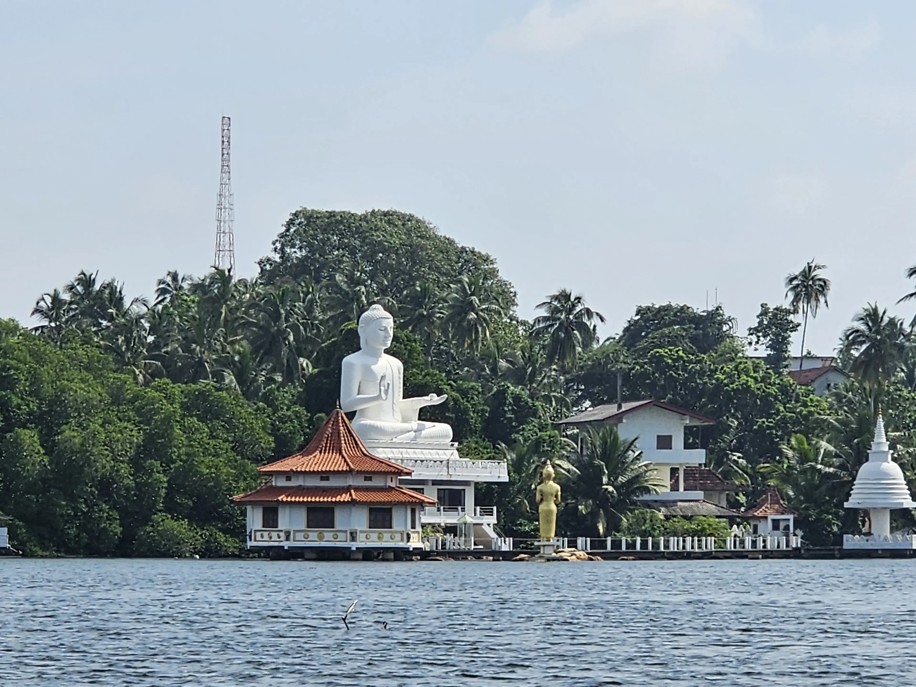 Bentota river Photo 43