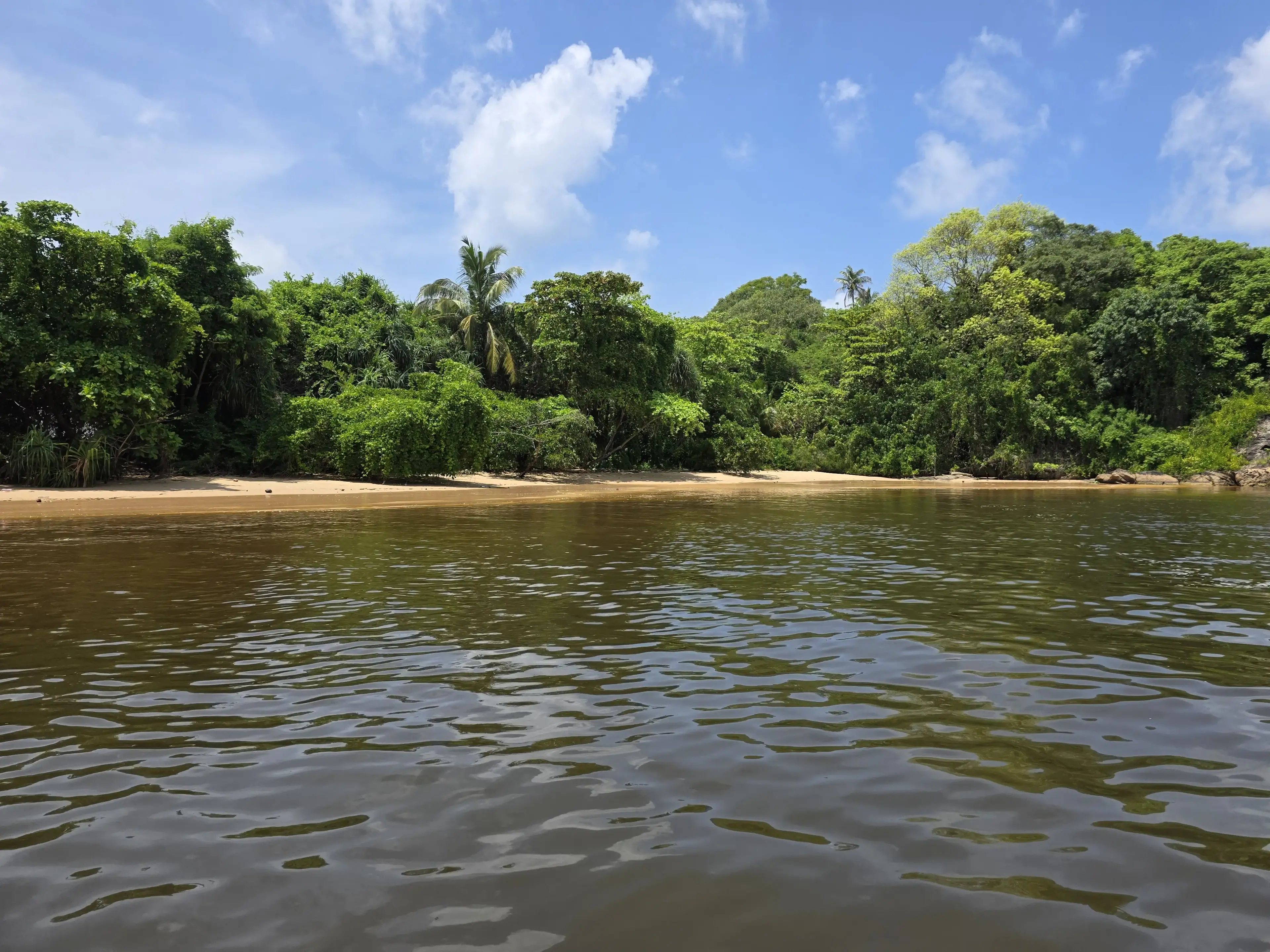 Bentota river Photo 44