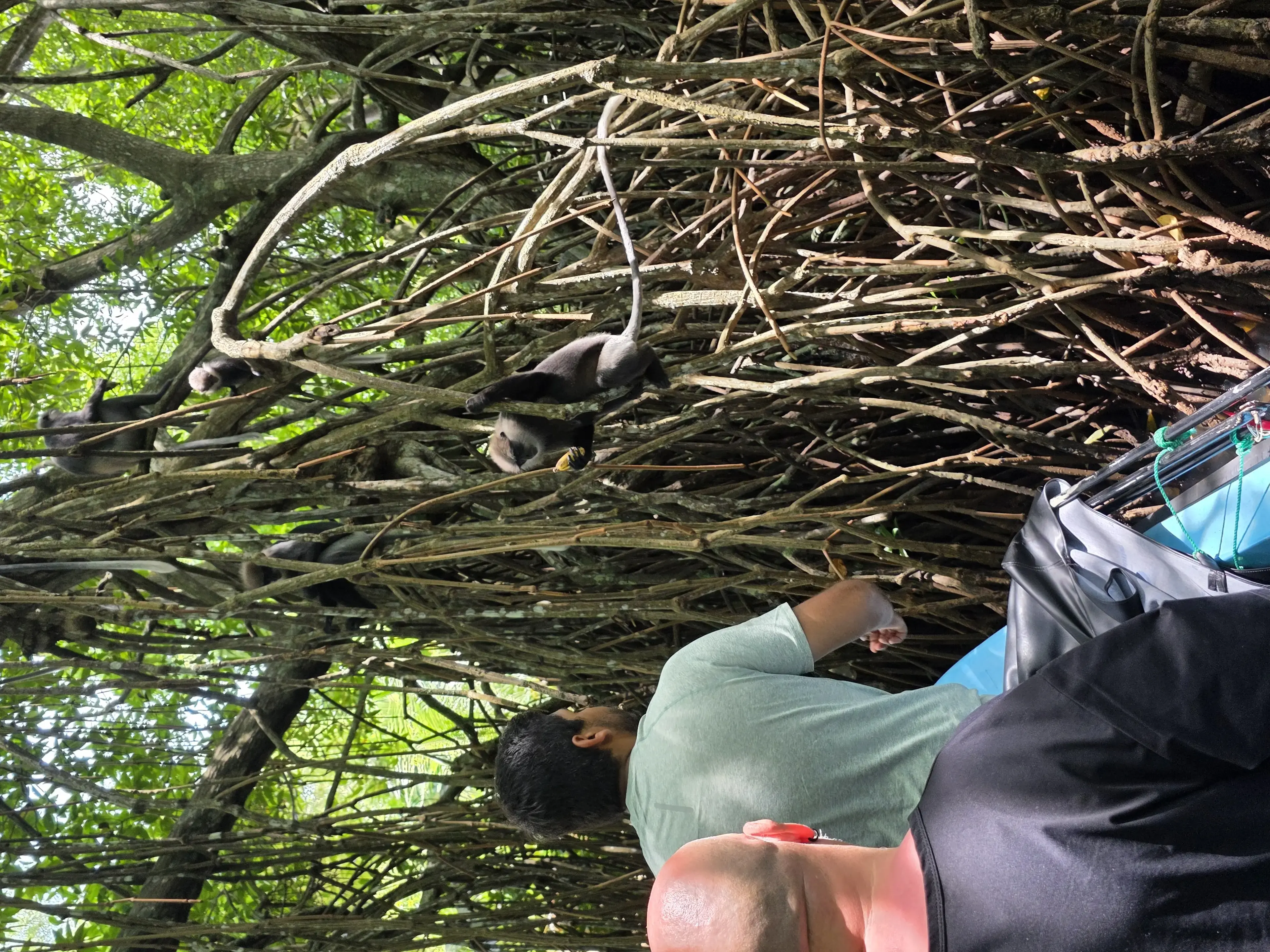 Bentota river Photo 47