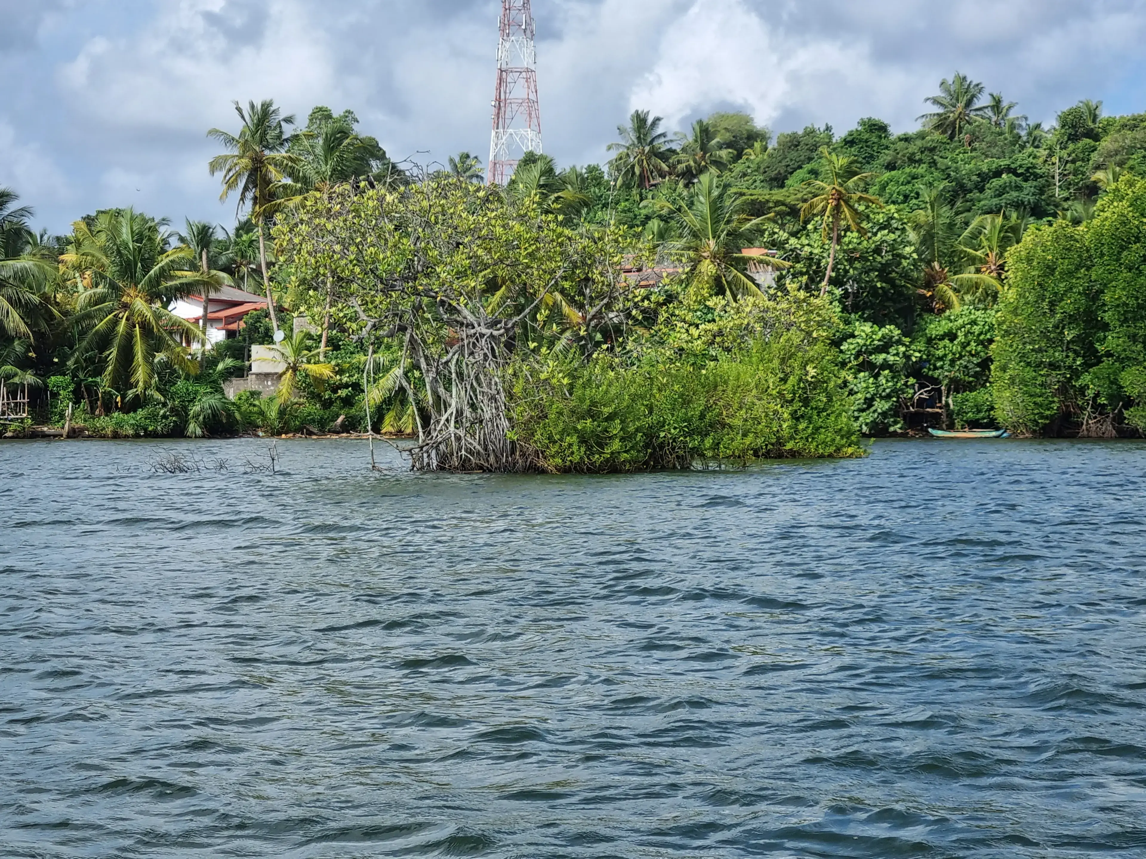 Bentota river Photo 56