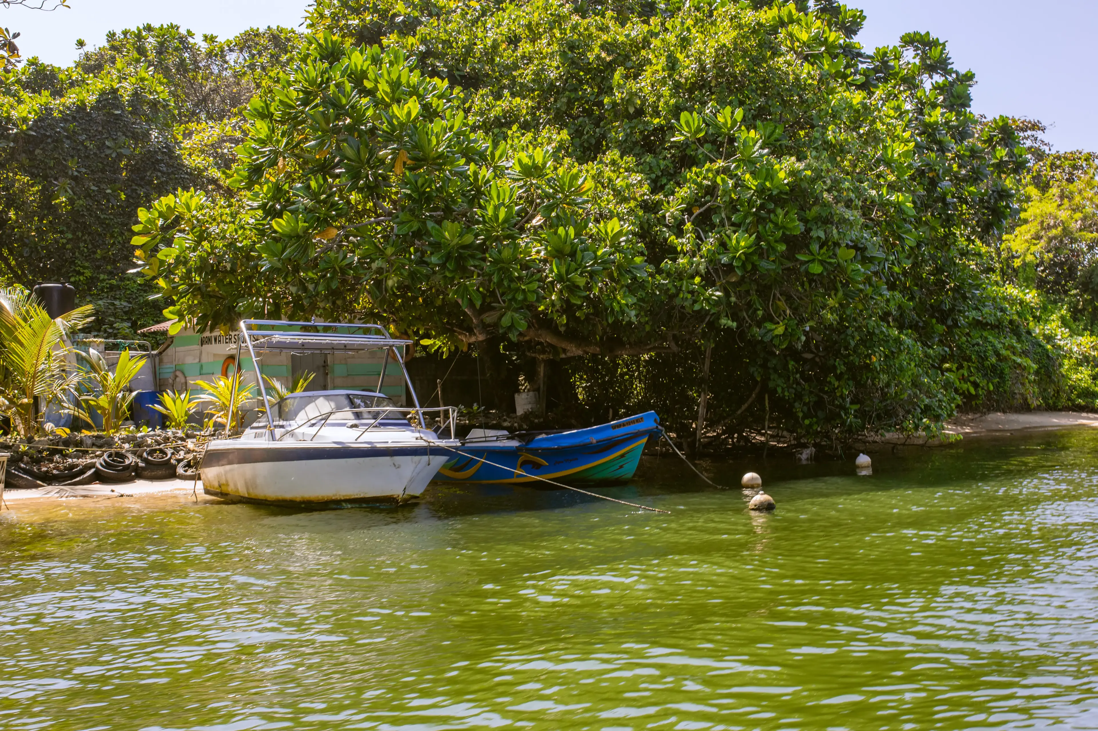 Bentota river Photo 8