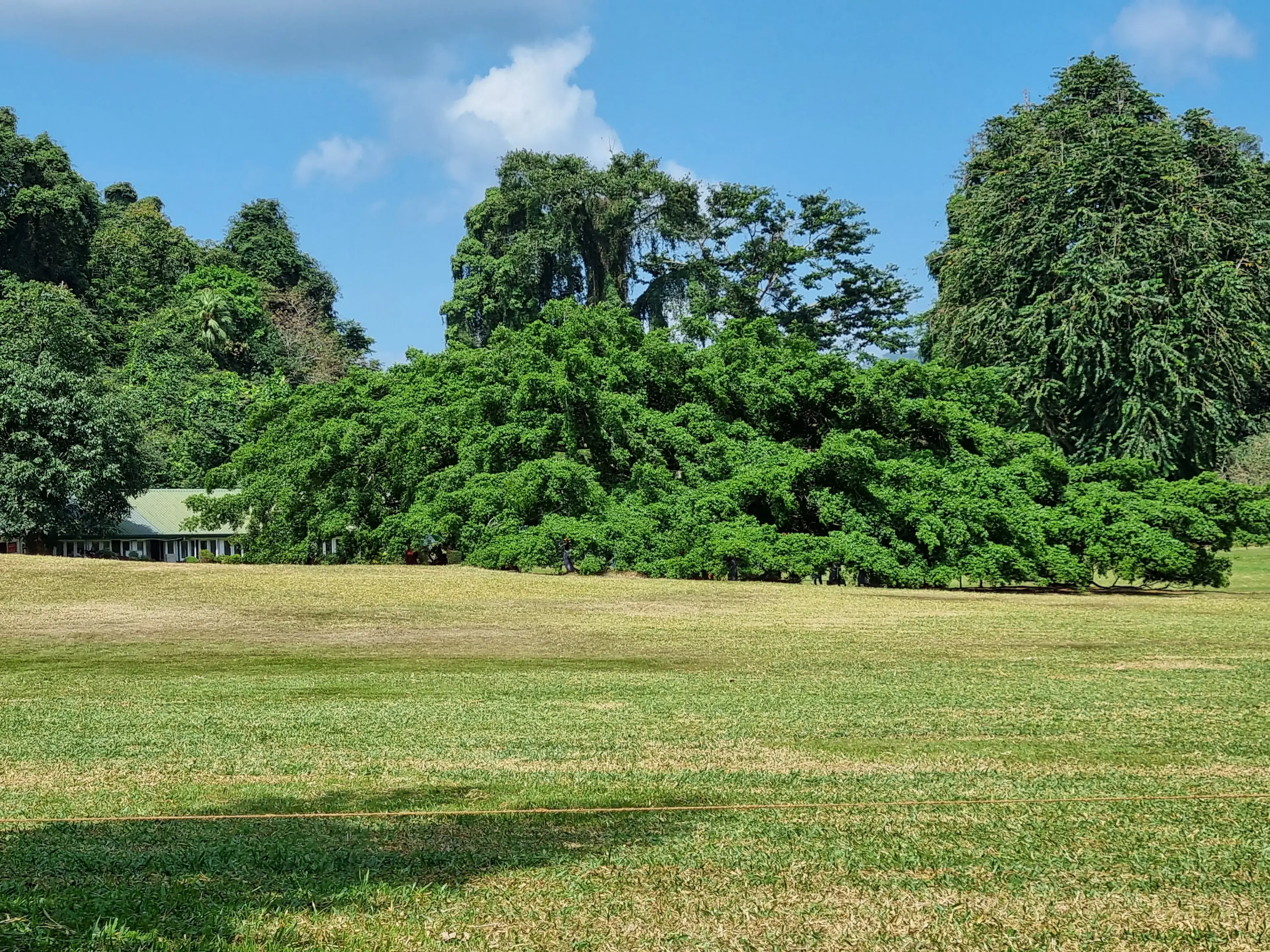 Botanical garden Photo 1