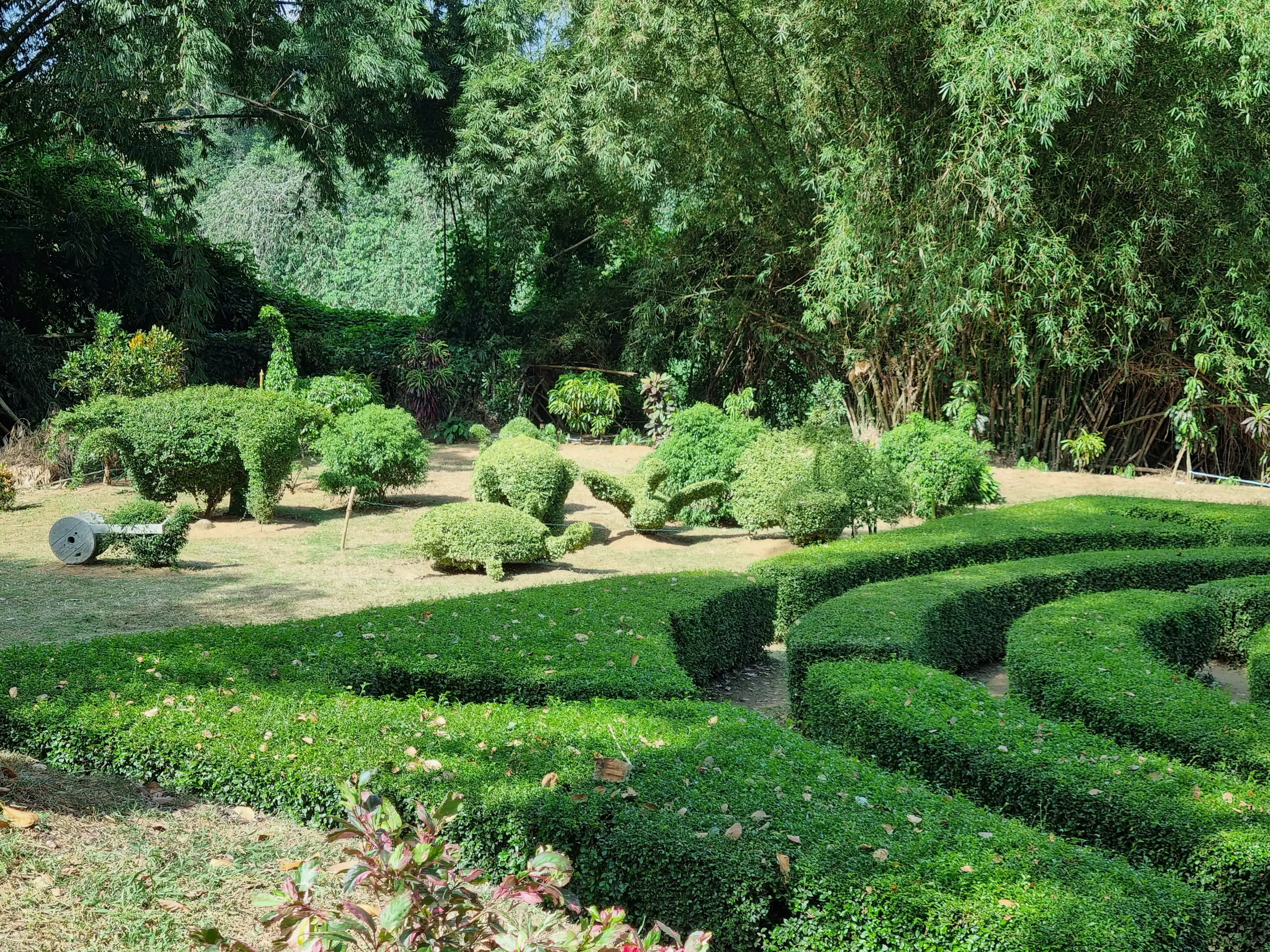 Botanical garden Photo 5