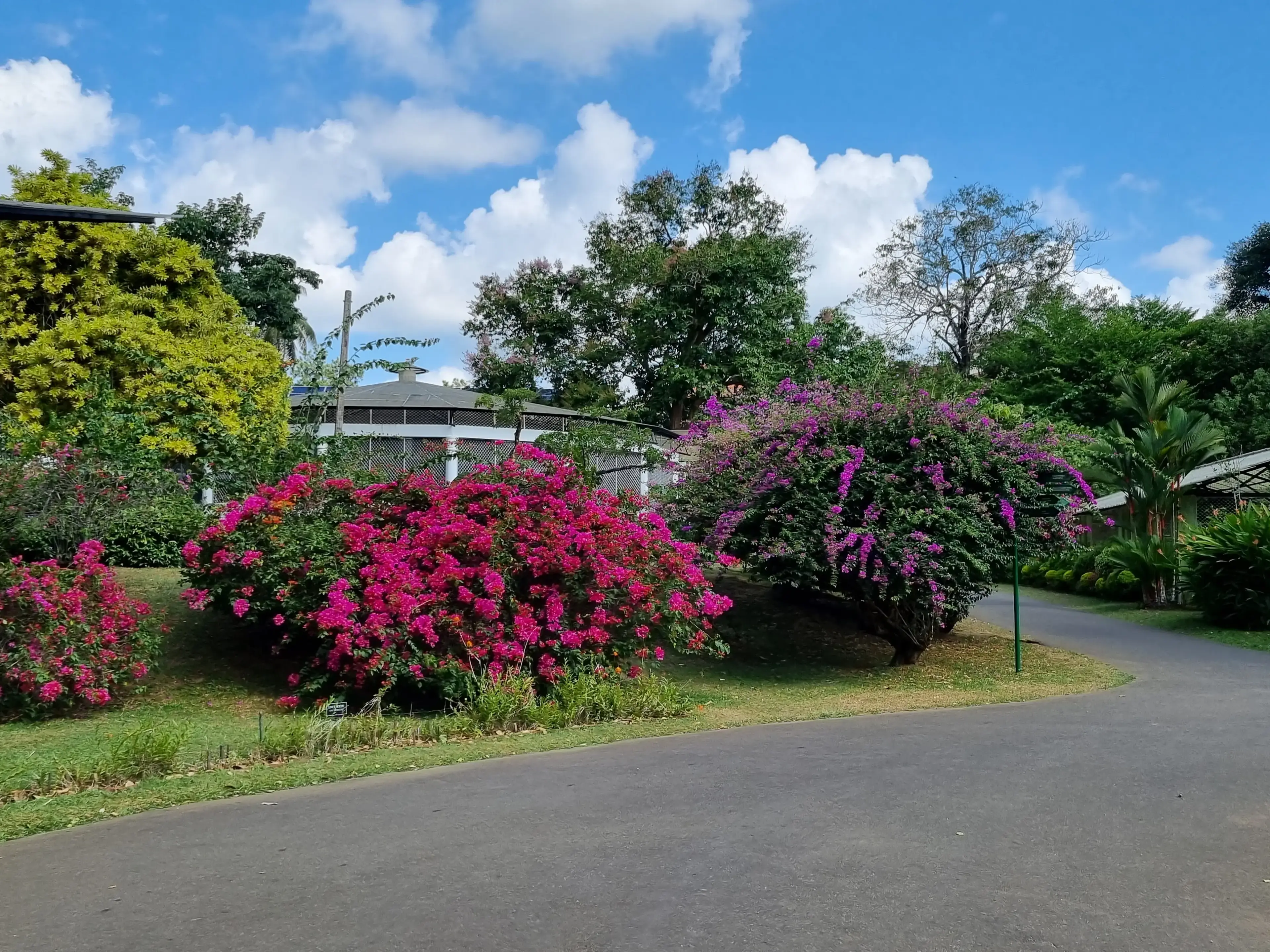 Botanical garden Photo 6