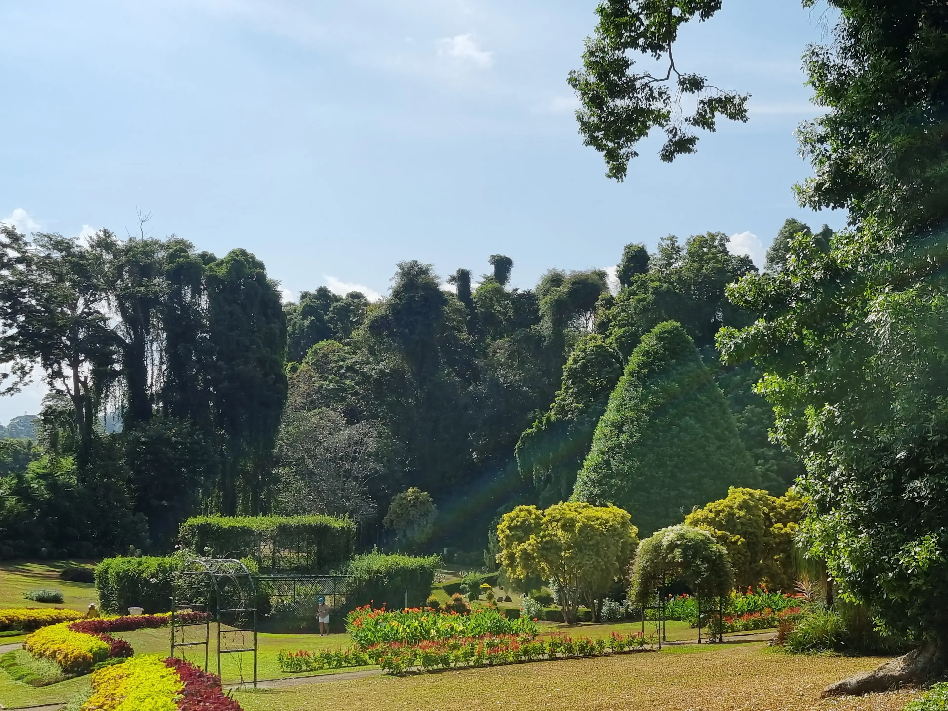 Botanical garden Photo 7