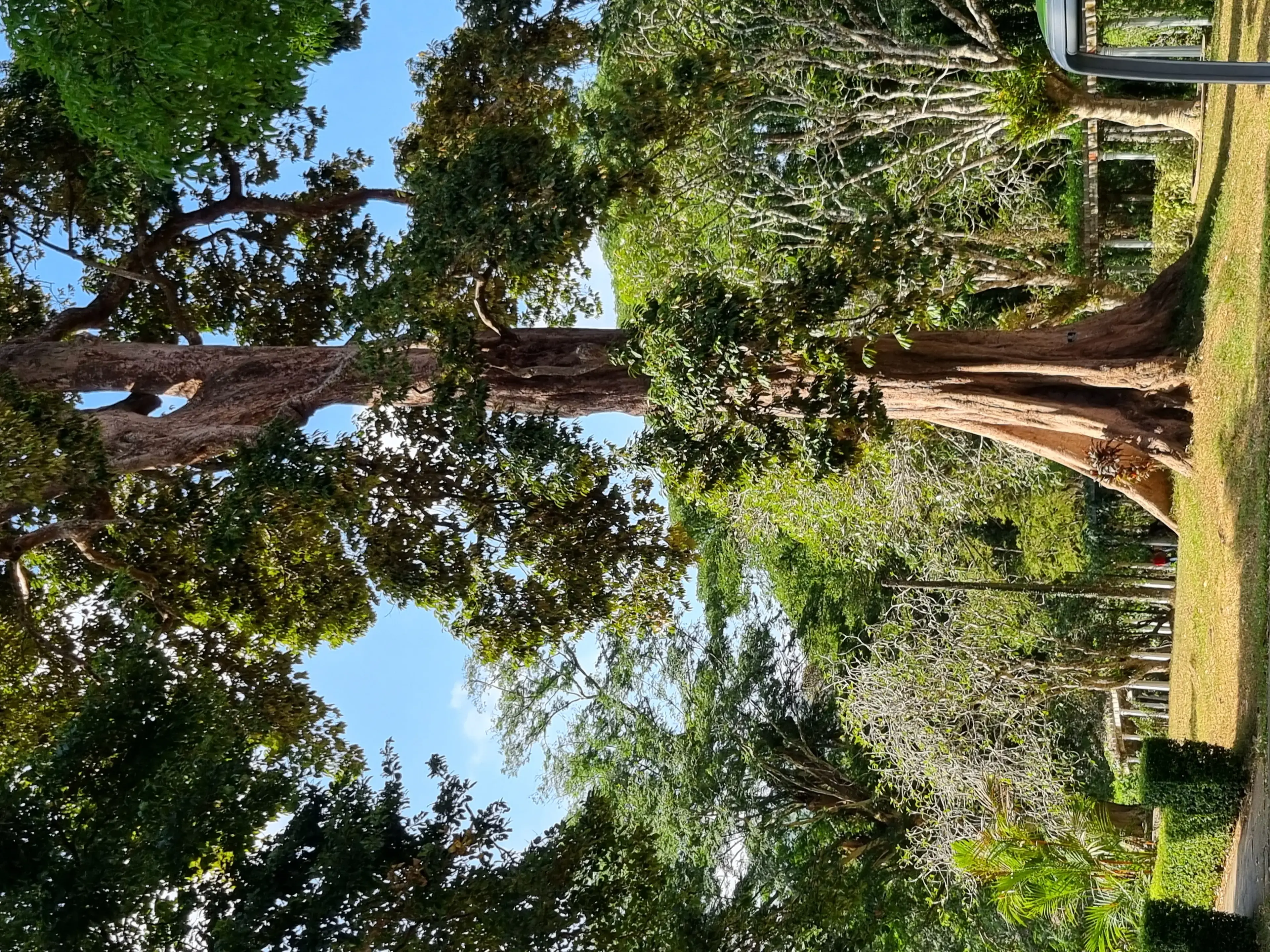 Botanical garden Photo 8