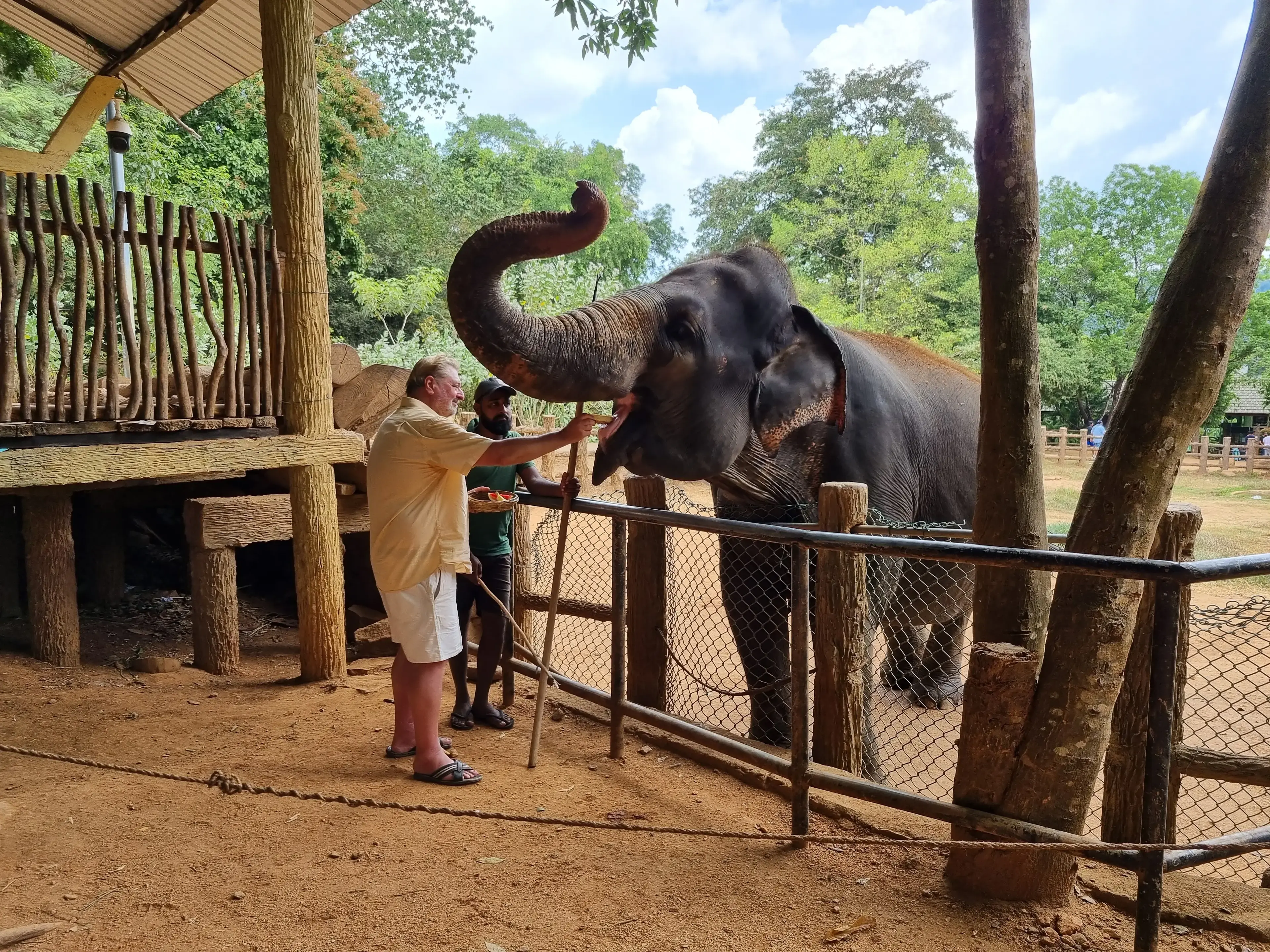 Pinnawala elephant orphanage Photo 7