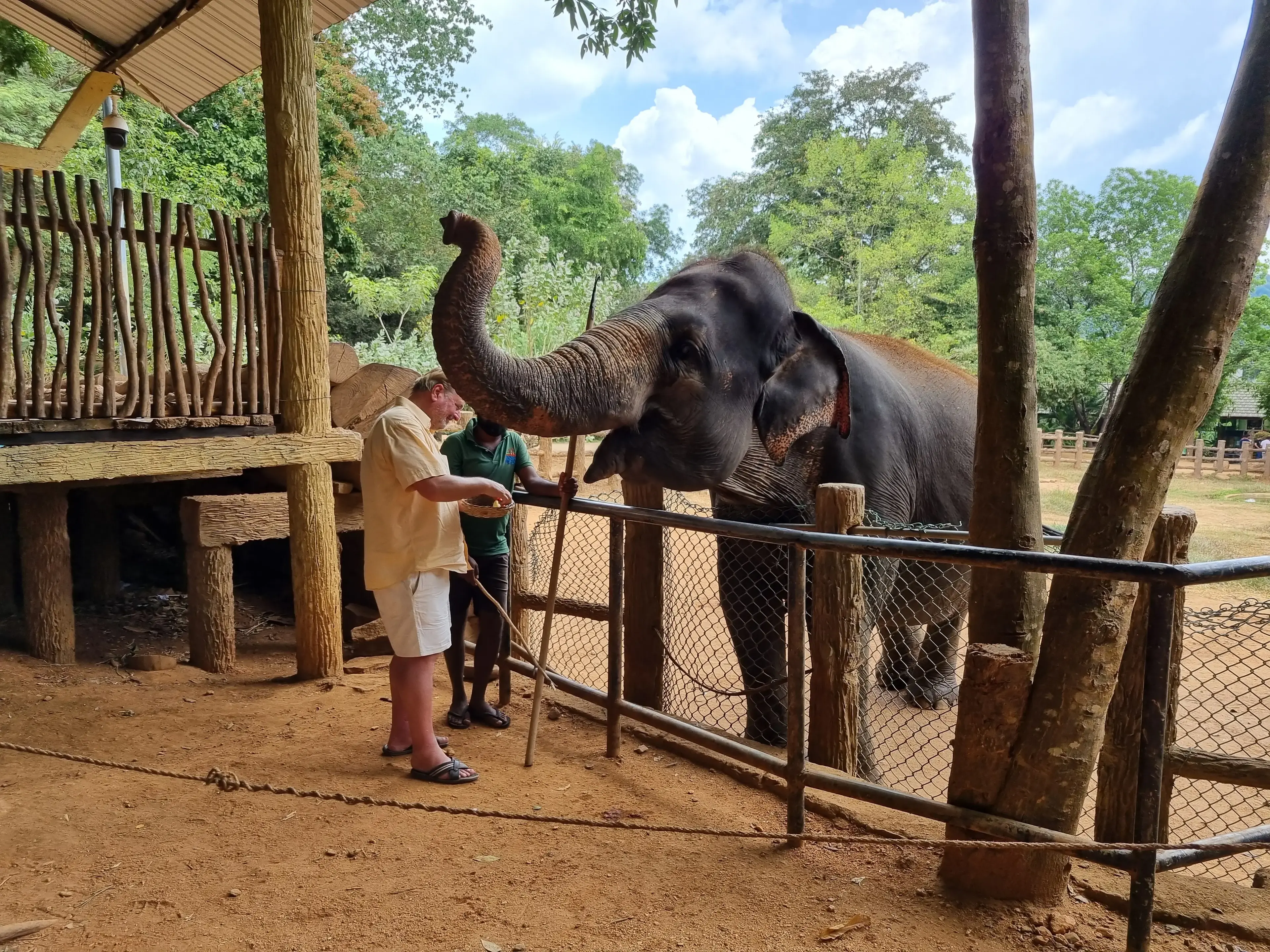 Pinnawala elephant orphanage Photo 8